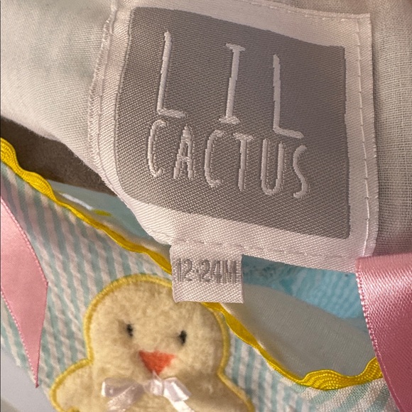 Lil Cactus Blue Seersucker Dress with Chick Appliqué and Pink Bows - Picture 9 of 9